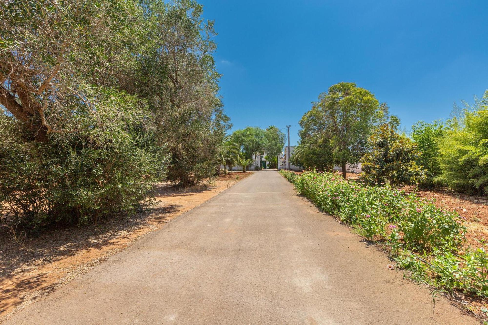 Masseria Sierri By Perle Di Puglia San Pancrazio Salentino Buitenkant foto